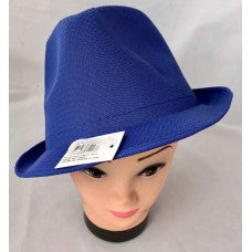 Assorted fedora