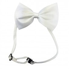 Bow Tie White