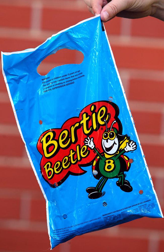 Bertie Beetle Bag